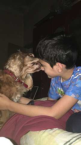 El fallecimiento de tomi