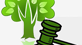 Timeline: Legislação Ambiental Brasileira e a Política Nacional de Educação Ambiental – PNEA