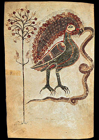 Battle of the Bird and the Serpent