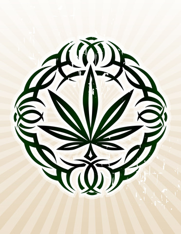 O does not go to Rehab