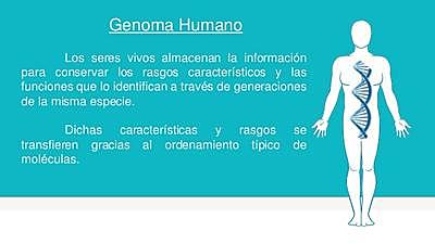 El Proyecto Genoma Humano