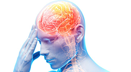 Timeline: LA NEUROPSICOLOGÍA EN EL TIEMPO