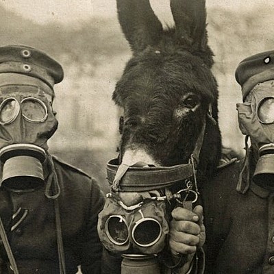 Timeline: coisas que nós não teríamos se não fosse a 1º guerra