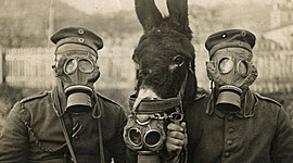 Timeline: coisas que nós não teríamos se não fosse a 1º guerra