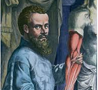 Oposición a la hipótesis ventriculares