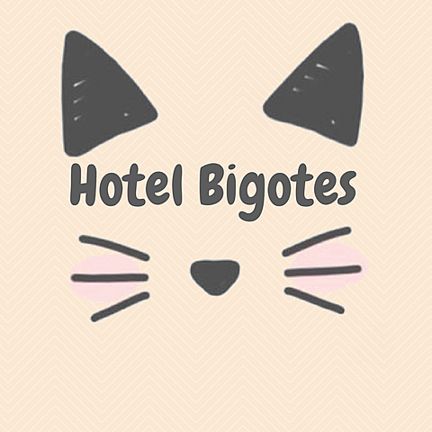 INICIO DE MI PRIMER NEGOCIO