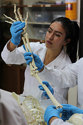 Creación del grupo de investigación