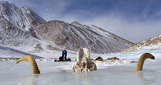 Sidetracted Magazine