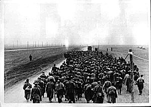 The Capture of the Crimea