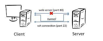 Servicios mas utilizados
