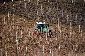 Euskadin aldaketa asko egon ziren.