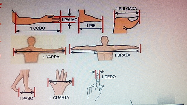 UNIDADES ANTROPOMÓRFICAS