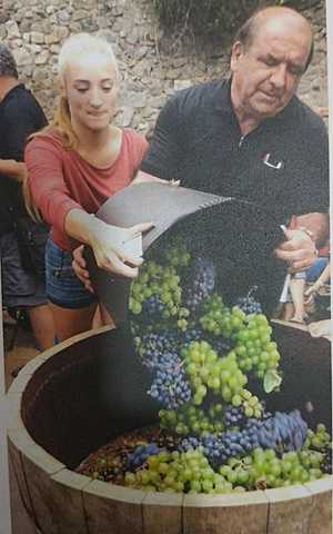 El vi de la Laietania