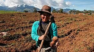 Política Pública de Ruralidad del Distrito Capital. Decreto 327 de 2007