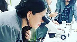 Timeline: Avances de la Genetica