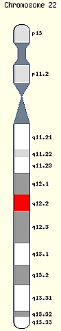 Cromosoma 22