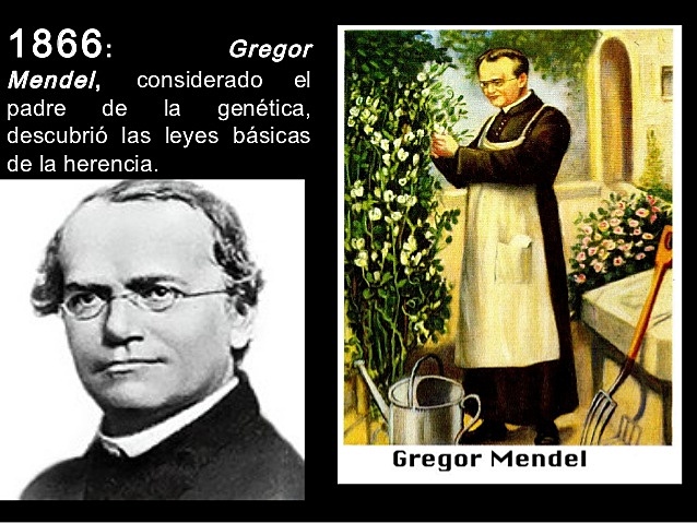 Monje Agustino Gregor Mendel