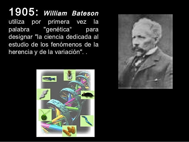 William Bateson