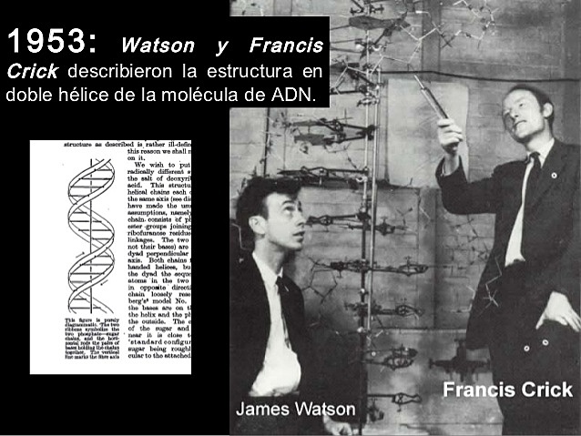 watson y Francis Crick