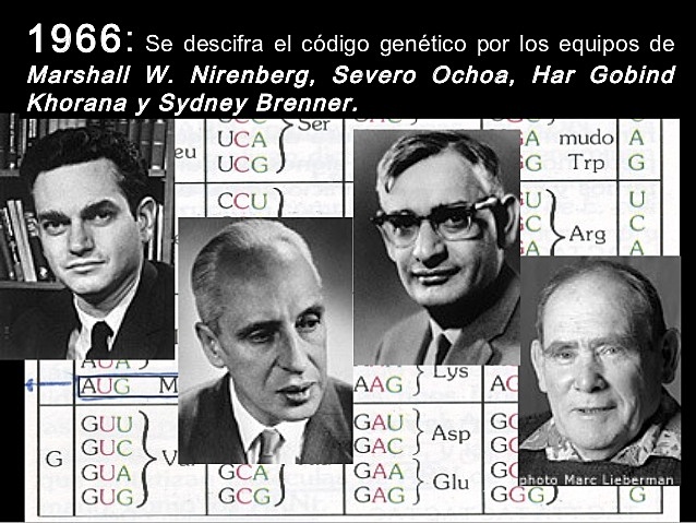 Marshall W. Nirenberg, Severo Ochoa, Har Gobind, khorana y Sydney Brennser.