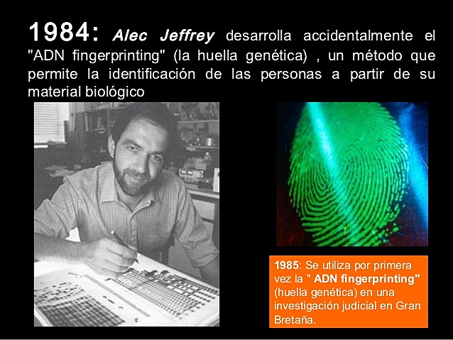 Alec Jeffrey