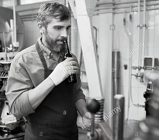 INSPECTORES DE CALIDAD