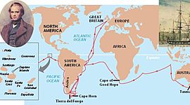 Timeline: Beagle voyage