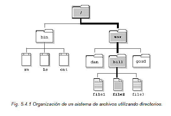 la organización lógica