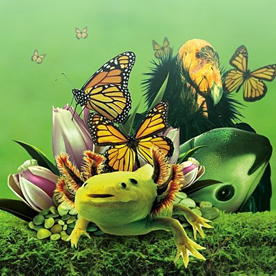 Timeline: Antecedentes Internacionales