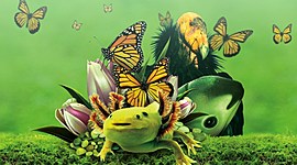 Timeline: Antecedentes Internacionales