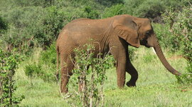 Timeline: Class Example