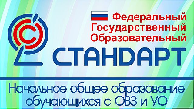 Стандарты для обучающихся с ограниченными возможностями.