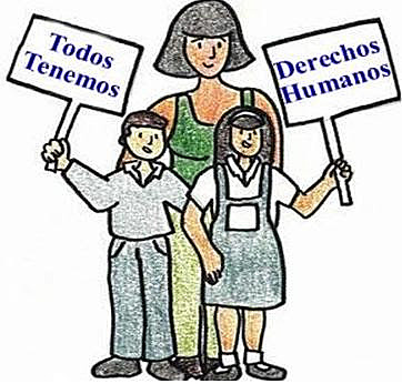 Identidad De Los Grupos Énicos