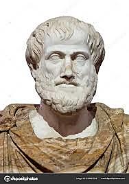 Consideración cerebral según Aristoteles