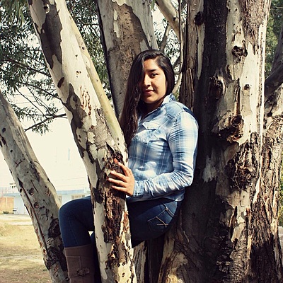 Timeline: Biografía de Kathy