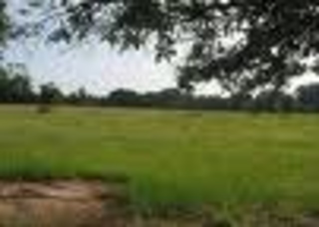 Battle of Holy Ground