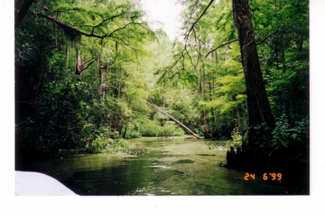 U.S. annexed West Florida, from the Pearl River to the Perdido River, from Spain; Spanish surrender Mobile to American forces.