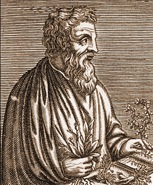 Dioscórides (Nació en Cilicia en Asia Menor probablemente en el año 40 y fallece en el 90 (romano).