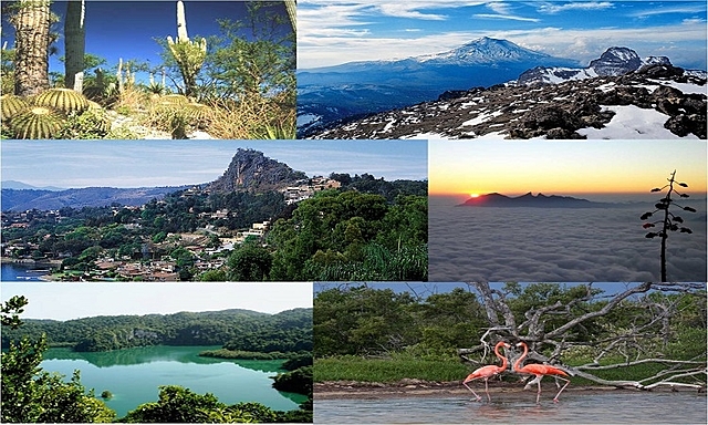 Creación de una zona de turismo sustentable del Caribe