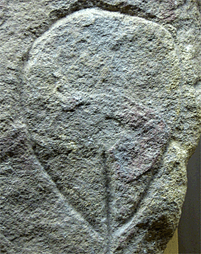 PREHISTORIA AÑO 3.000 a.C