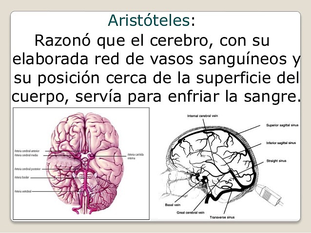 ARISTOTELES Y EMPEDOCLES