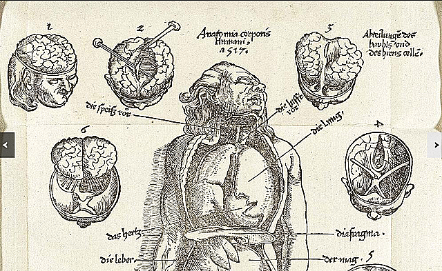 VESALIO