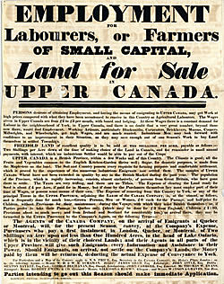 Organization of Irish Immigration to Manitoba and the North West