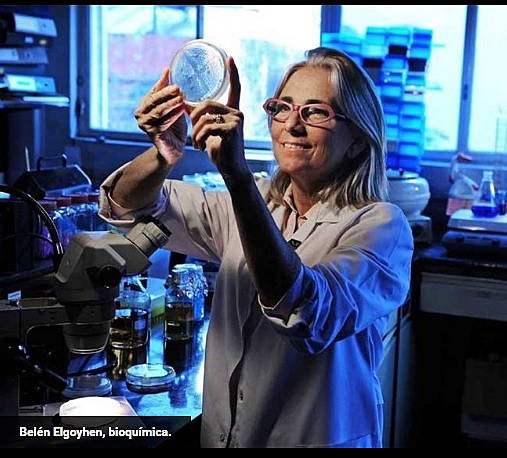 ANA BELÉN ELGOYHEN - Bioquímica