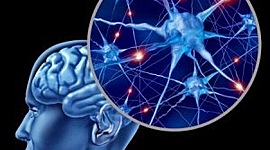 Timeline: La Neuropsicología en el tiempo