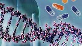 Timeline: Historia de la genética.