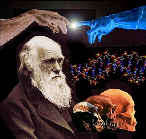 Charles Darwin. Estudió la evolución sobre la hipótesis de la selección natural