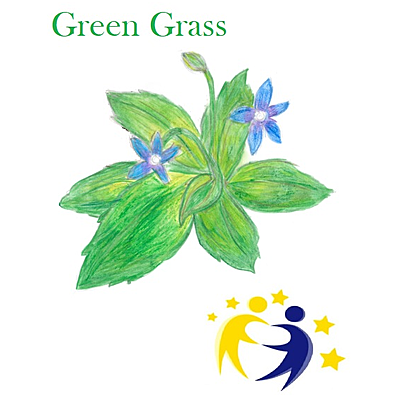 Timeline: GREEN GRASS - TIMELINE