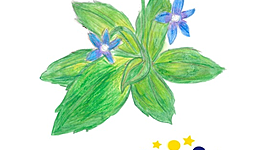 Timeline: GREEN GRASS - TIMELINE