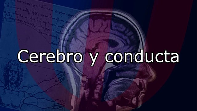 PERIODO CONTEMPORÁNEO